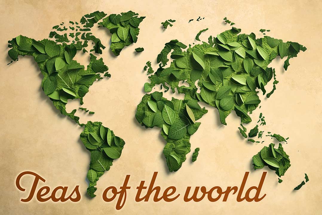 Teas of the World image